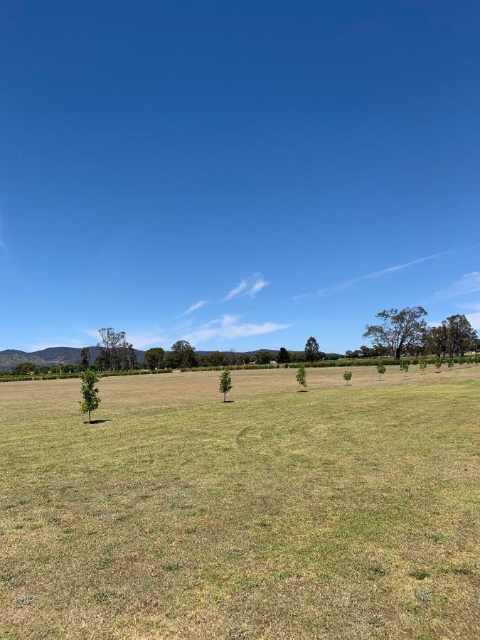 Mudgee Vineyard Motor Inn Dış mekan fotoğraf